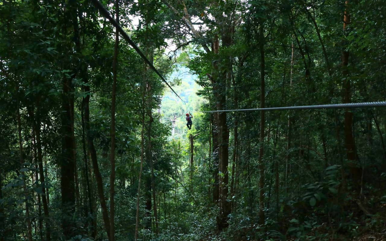 Zipline entrance fee at Jungle Flight Chiang Mai